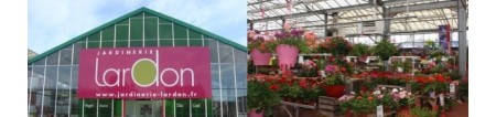 Jardinerie Lardon